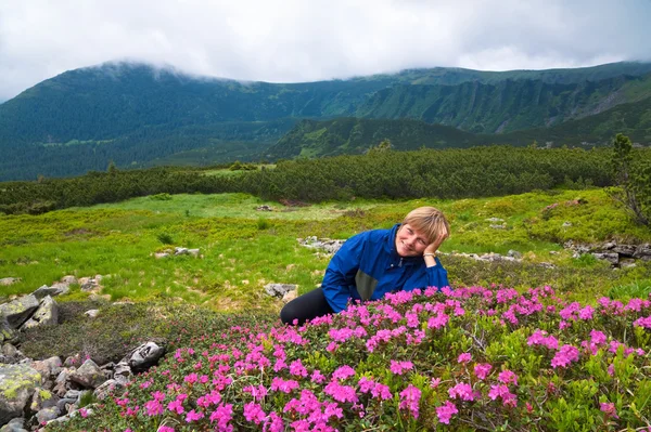 Mountain rhododendron blossoming — Stock Photo, Image
