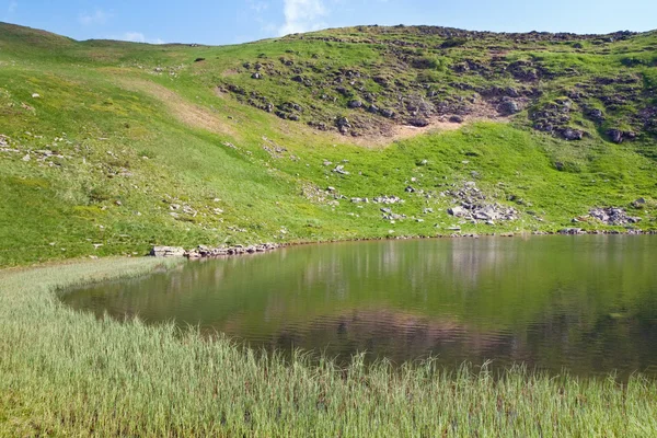 夏季山上的高山湖 nesamovyte — 图库照片