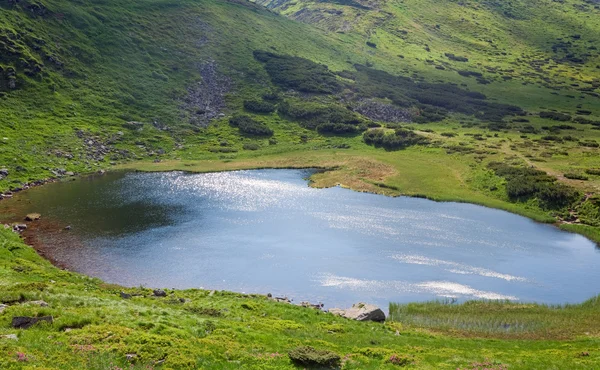 高山湖 Nesamovyte 乌克兰喀尔巴阡山脉 Chornogora 山岭夏季阳光的修补程序 — 图库照片