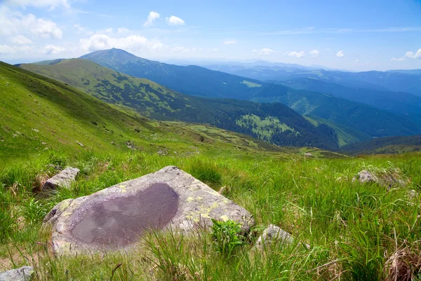 Pozzanghera su pietra di montagna — Foto Stock