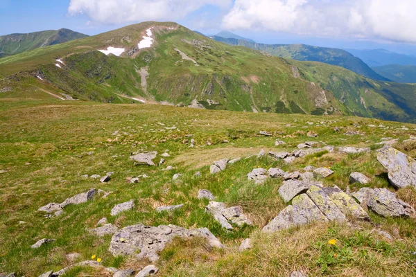 Sommaren Bergsryggen Ukraina Carpathian Berg — Stockfoto