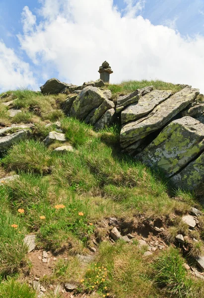 Каменный Столб Вершине Летней Горы Желтый Цветок Склоне Украина Карпаты — стоковое фото