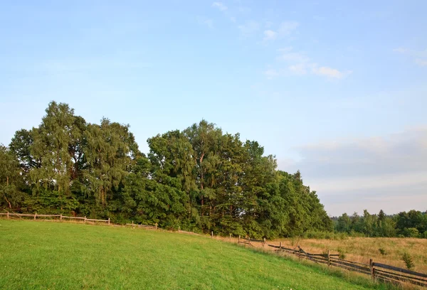 Summer countryside landscape — Stock Photo, Image