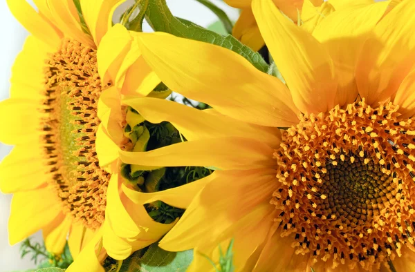 素敵な黄色のひまわりの夏の花束フラグメント シャープネスのかなりの深さと複合マクロ写真 — ストック写真
