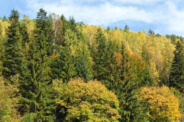 Höstens Skogsbruk Bevuxen Hill Bergsutsikt Ukraina Karpaterna — Stockfoto