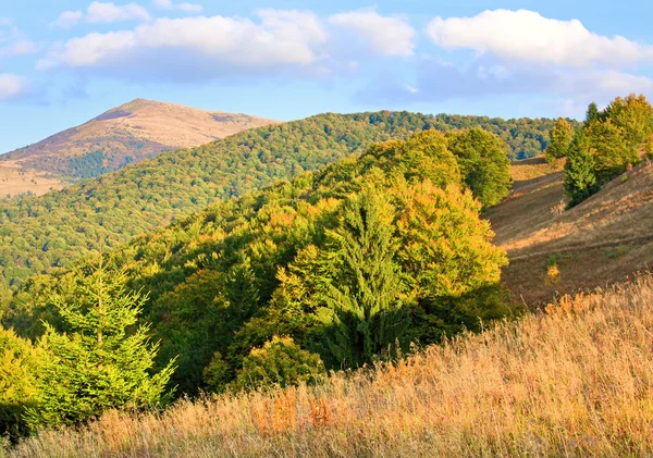 Colina Montaña Otoño Con Árbol Colorido Cárpatos Ucrania —  Fotos de Stock