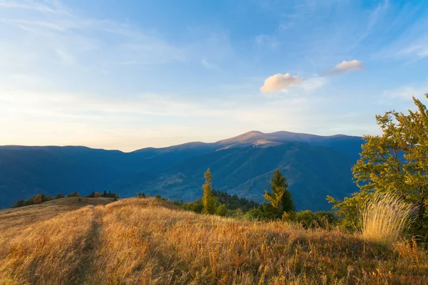 Vacker Kväll Hösten Berg Karpaterna Mount Ukraina — Stockfoto