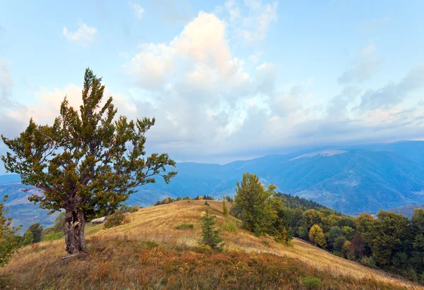 Schönen Morgen Herbst Berg Karpaten Ukraine — Stockfoto