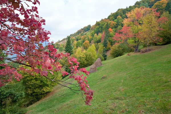 Montagne d'automne — Photo