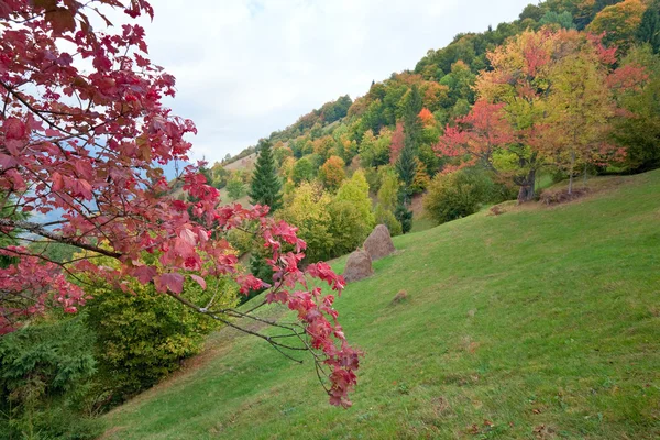 stock image Autumn mountain