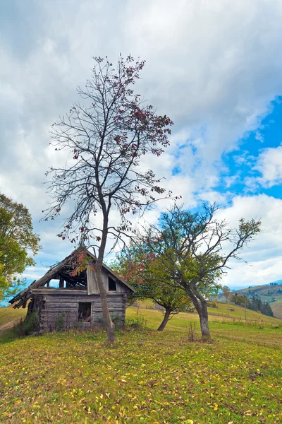 Деревянный гнилой амбар — стоковое фото