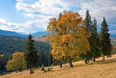 Autumn in mountain clipart