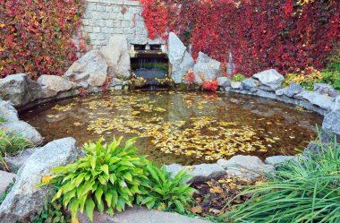 Pond water surface with abscissed leaf and small waterfall in autumn park clipart