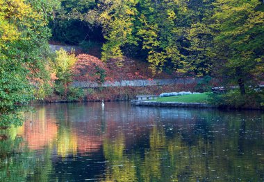 Pond water surface with reflection of colorful trees in autumn park clipart