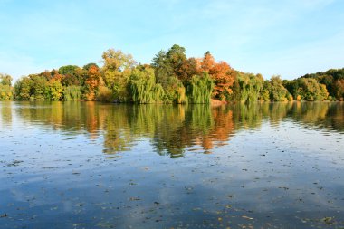 Sonbahar Şehir Parkı