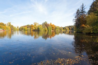 gölet su yüzeyi ile renkli ağaçlar sonbahar Park yansıması