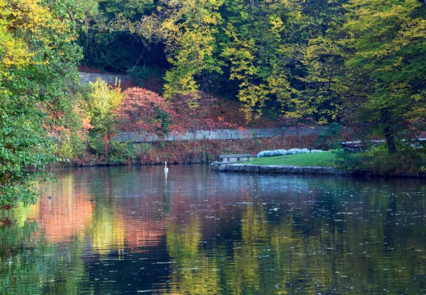 Vannoverflate Med Refleksjon Fargerike Trær Høstparken – stockfoto