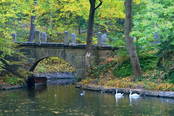 Podzimní městský park — Stock fotografie