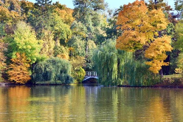 Rybník Vodní Plochy Odrazem Barevných Stromů Podzimním Parku — Stock fotografie