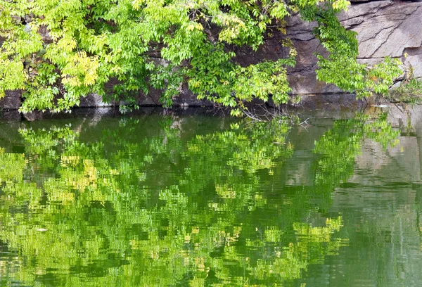Поверхность Пруда Отражением Красочных Деревьев Скалистых Озер Осеннем Парке — стоковое фото
