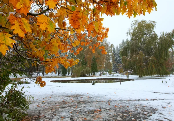 Park i pierwszy śnieg — Zdjęcie stockowe