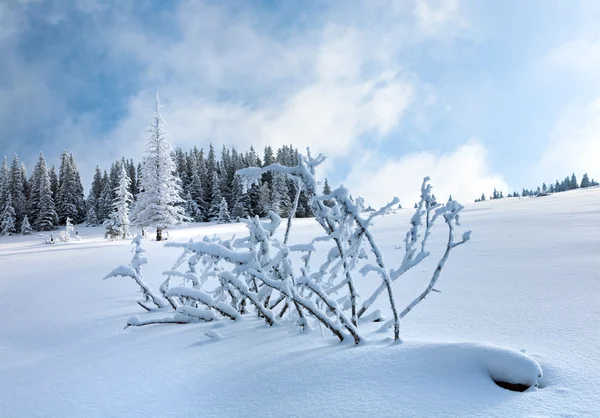 Χιονισμένο τοπίο — Φωτογραφία Αρχείου