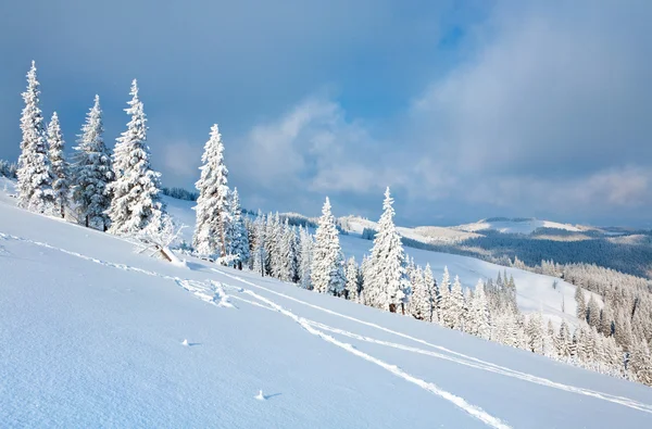 Зимовий Ранок Заспокоїти Гірський Краєвид Красивою Ялинки Схилі Kukol Гори — стокове фото