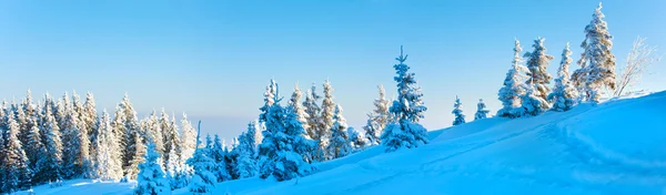 朝冬穏やかカルパティア山脈 ウクライナ の斜面にモミの木と山のパノラマ風景 つのショット スティッチ画像 — ストック写真