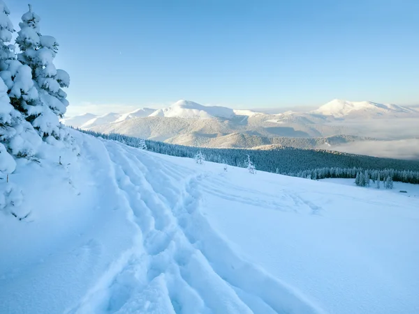 Amanecer Invierno Rime Árboles Abeto Cubierto Nieve Ladera Montaña Montañas —  Fotos de Stock