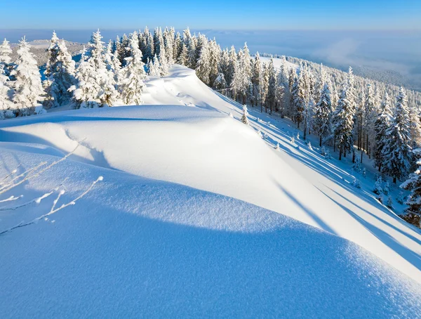 日の出と冬の樹氷し 雪の覆われたモミの木 カルパティア山脈 ウクライナの山腹 — ストック写真