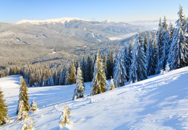 Winter calm mountain landscape (view from Bukovel ski resort (Ukraine) to Svydovets ridge) clipart