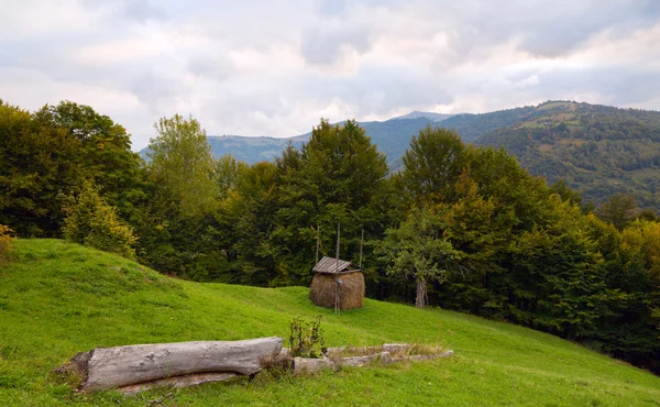 干し草 Bilyn カルパティア ウクライナのスタックを持つフォレストで山岳緑 Glade — ストック写真