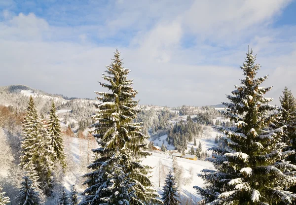 Kış Sakin Dağ Manzarası Ren Karla Kaplı Çam Ağaçları — Stok fotoğraf