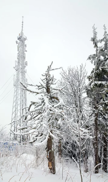 Radio Communication Tower Misty Winter Mountain Peak — Stock Photo, Image