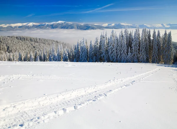 Kış Sakin Dağ Manzarası Bukovel Kayak Merkezi Ukrayna Svydovets Ridge — Stok fotoğraf