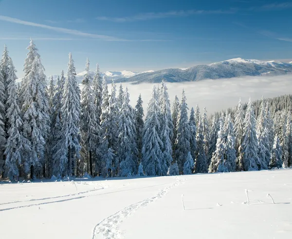 겨울 산의 풍경 — 스톡 사진