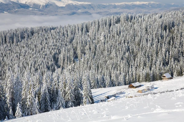 Зимний Спокойный Горный Ландшафт Заснеженными Стеблями Переднем Плане Сараями Позади — стоковое фото
