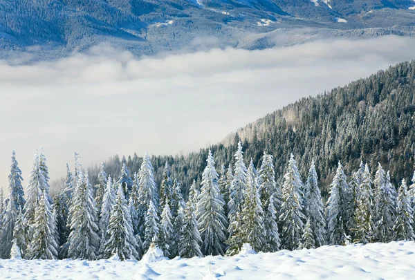 Зимний Спокойный Горный Ландшафт Римом Заснеженными Еловыми Деревьями — стоковое фото