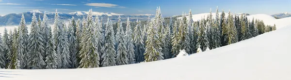 Paysage de montagne hivernal (panorama ) — Photo