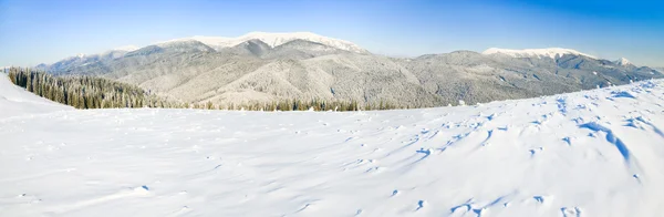 冬天平静山景观与霜和雪覆盖云杉树木 三枪缝合图像 — 图库照片