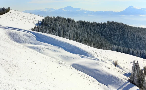 冬の穏やかな山の風景 Goverla にブコヴェリ スキー リゾート ウクライナ Dovga マウント からの眺め — ストック写真
