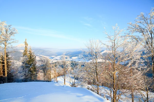 Vinter Lugn Berglandskap Med Rimfrost Och Snö Täckta Träd Framför — Stockfoto