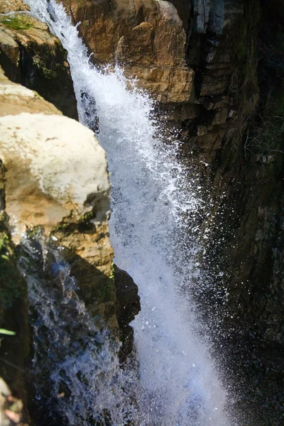 Wasserfall im Bergwald — Stockfoto