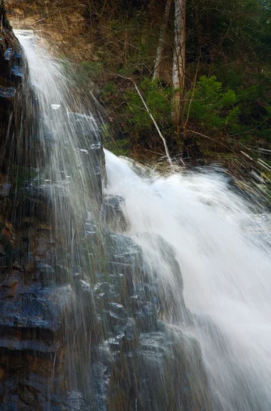 Oberteil Des Hochgebirgswasserfalls Dunklen Wilden Karpatenwäldern Manjava Region Iwano Frankiwsk — Stockfoto