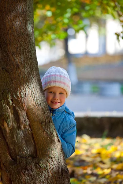 小玩女孩在秋天公园附近大枫叶金币 — 图库照片