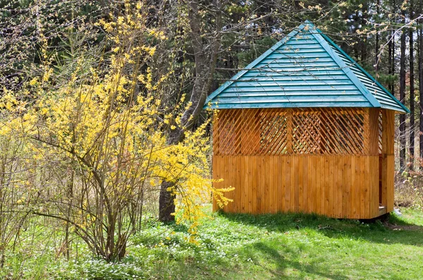 Galho Florescente Árvore Com Flores Amarelas Summerhouse Perto — Fotografia de Stock