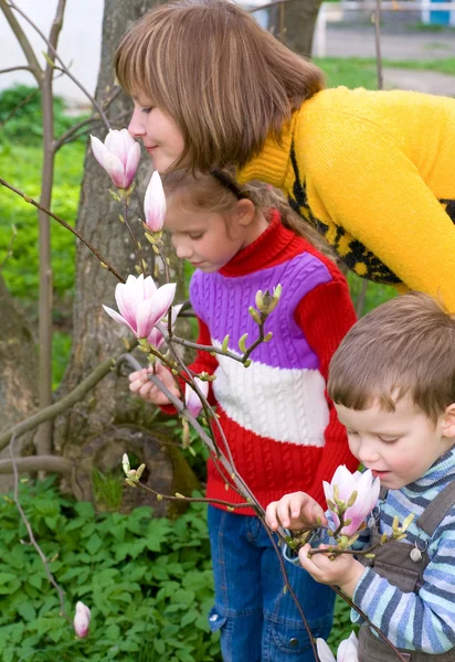 Glad Mamma Med Små Barn Nära Blommande Magnoliaträd — Stockfoto