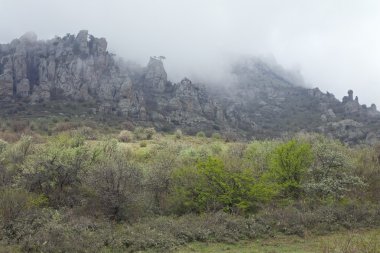 Rocky mountain (demerdzhi Dağı, Kırım, Ukrayna)