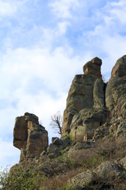 Rocky dağ manzarası