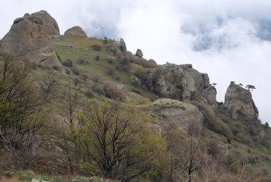 Rocky Dağı